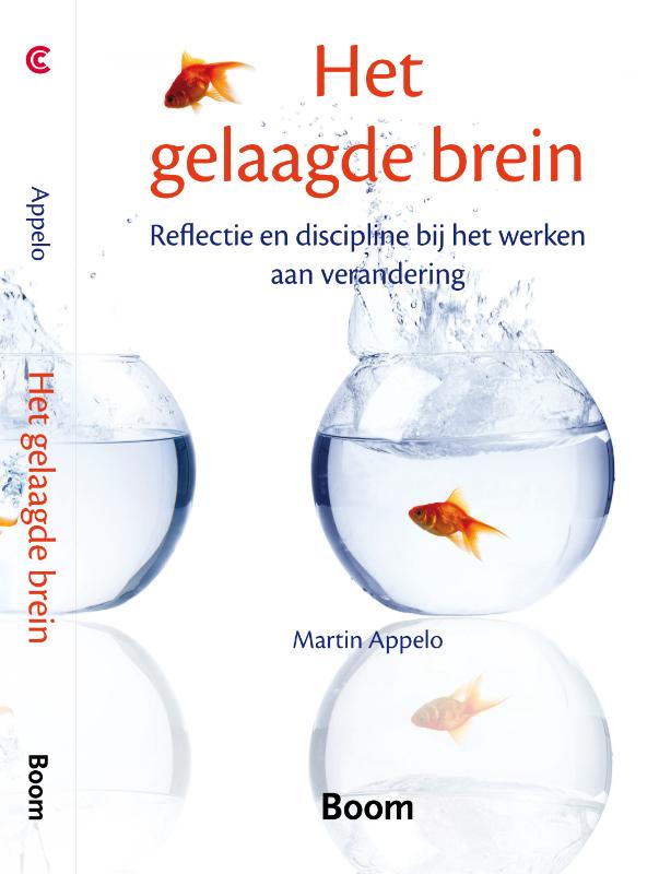 HET GELAAGDE BREIN