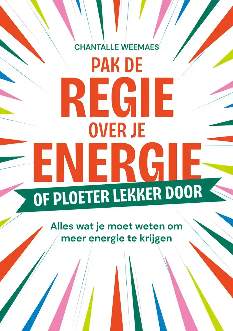 PAK DE REGIE OVER JE ENERGIE
