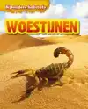WOESTIJNEN