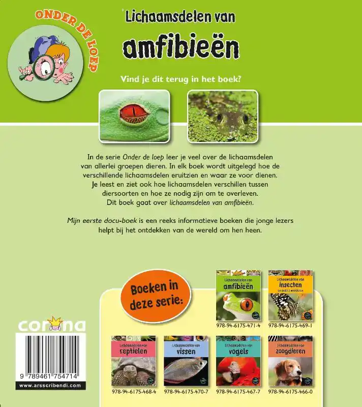 LICHAAMSDELEN VAN AMFIBIEEN