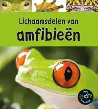 LICHAAMSDELEN VAN AMFIBIEEN