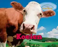 KOEIEN