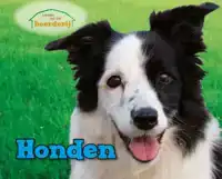 HONDEN