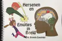 HERSENEN EN EMOTIES IN BEELD