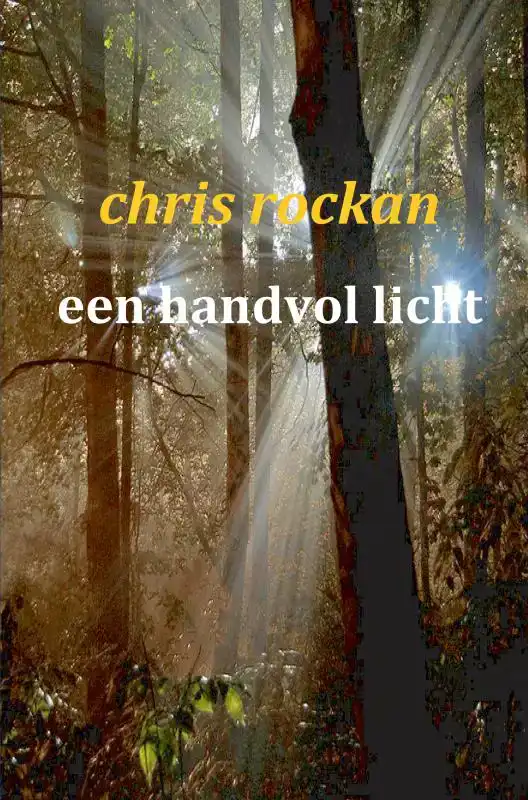 EEN HANDVOL LICHT