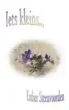 IETS KLEINS