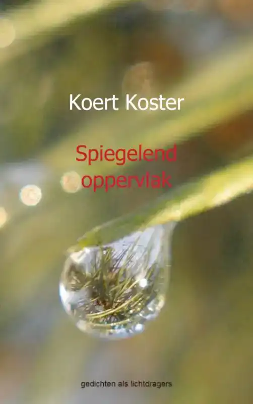 SPIEGELEND OPPERVLAK