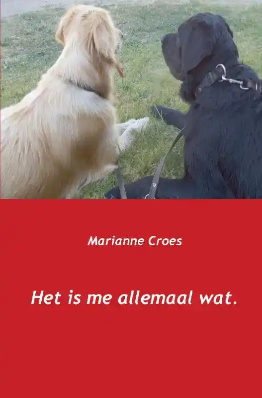 HET IS ME ALLEMAAL WAT