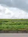 BICYCLE LANDSCAPE / BICYCLE LANDSCAPE