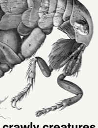 CRAWLY CREATURES