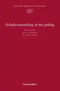 SCHADEVASTSTELLING IN HET GEDING