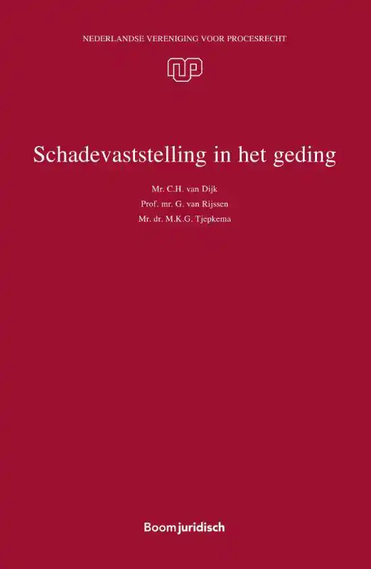 SCHADEVASTSTELLING IN HET GEDING