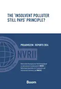 THE 'INSOLVENT POLLUTER STILL PAYS' PRINCIPLE?