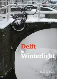 DELFT IN WINTERLIGHT