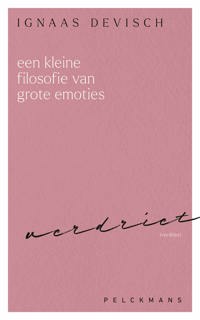 EEN KLEINE FILOSOFIE VAN GROTE EMOTIES: VERDRIET