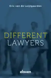 DIFFERENT LAWYERS