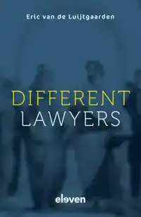 DIFFERENT LAWYERS