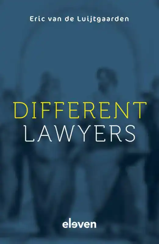 DIFFERENT LAWYERS