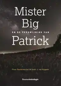 MISTER BIG EN DE VERDWIJNING VAN PATRICK