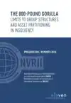 THE 800-POUND GORILLA. LIMITS TO GROUP STRUCTURES AND ASSET