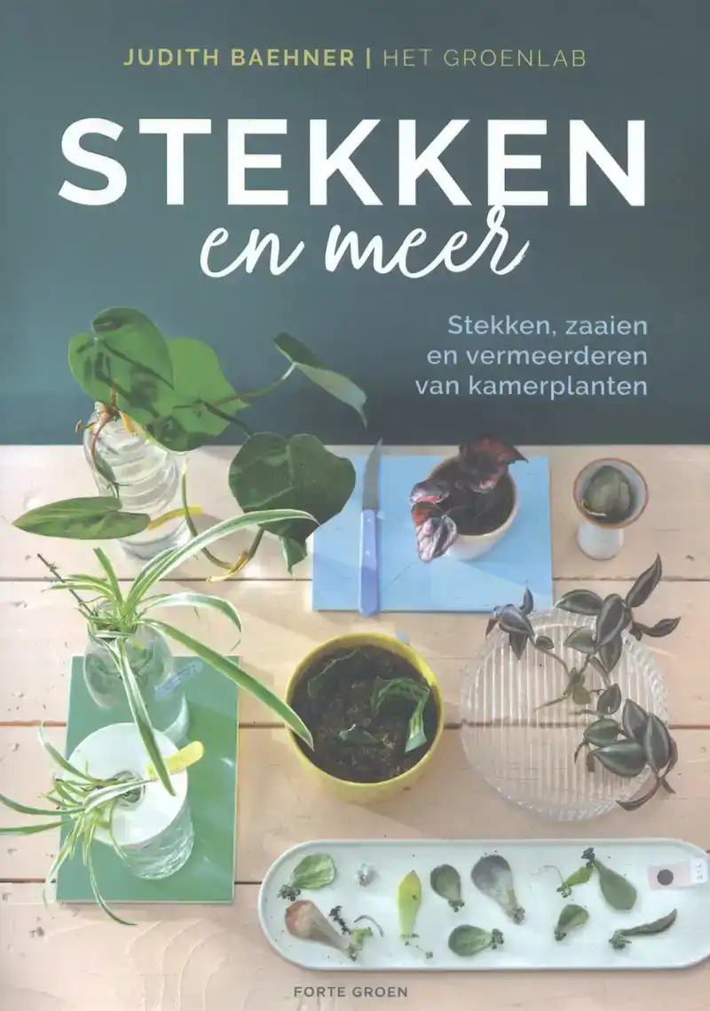 STEKKEN EN MEER