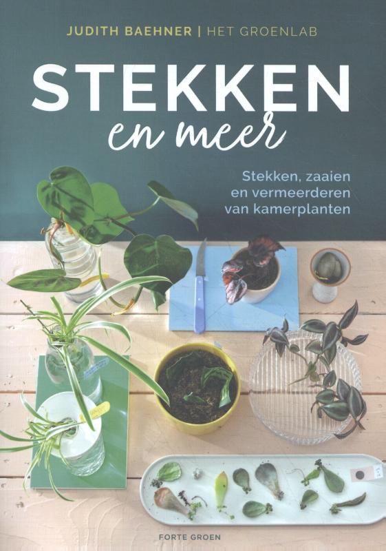 STEKKEN EN MEER