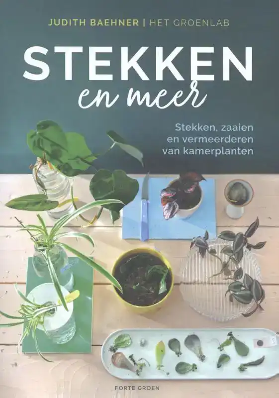 STEKKEN EN MEER