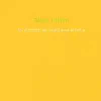 ALS JE ERGENS AAN BEGINT MAAK JE HET AF