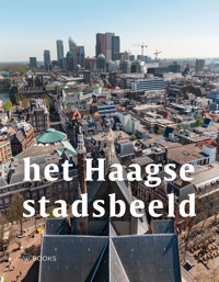 HET HAAGSE STADSBEELD