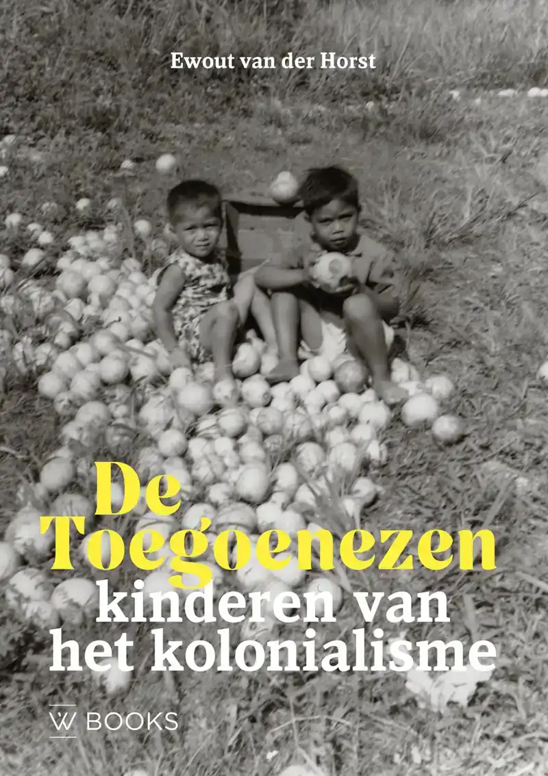 DE TOEGOENEZEN
