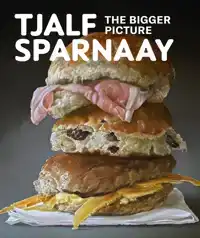 TJALF SPARNAAY - THE BIGGER PICTURE