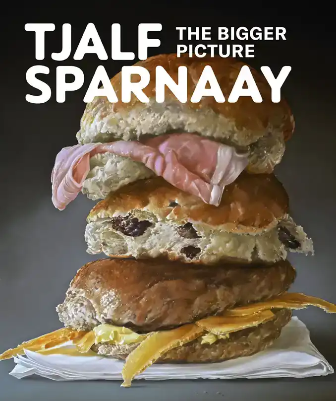 TJALF SPARNAAY - THE BIGGER PICTURE