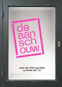 DE AANSCHOUW