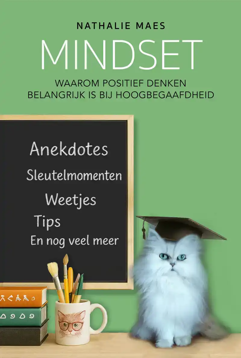 MINDSET