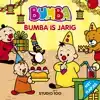 BUMBA : KARTONBOEK MET FLAPJES - BUMBA IS JARIG