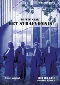 DE WEG NAAR HET STRAFVONNIS