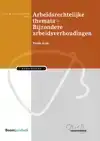 ARBEIDSRECHTELIJKE THEMATA - BIJZONDERE ARBEIDSVERHOUDINGEN