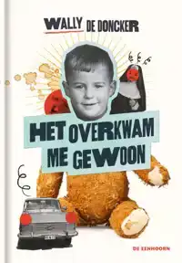 HET OVERKWAM ME GEWOON