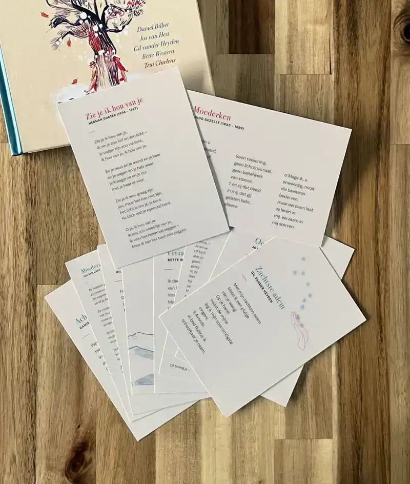 POEZIEKAARTENSET 'WEES WELKOM BOVEN OP MIJN BESTE HOED'