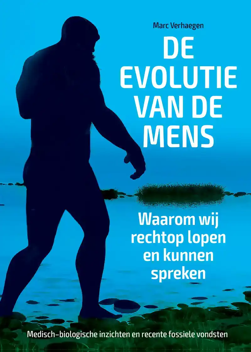 DE EVOLUTIE VAN DE MENS