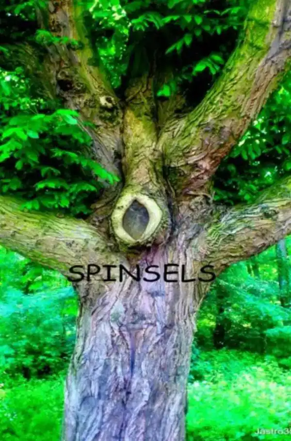 SPINSELS