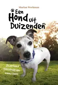 EEN HOND UIT DUIZENDEN