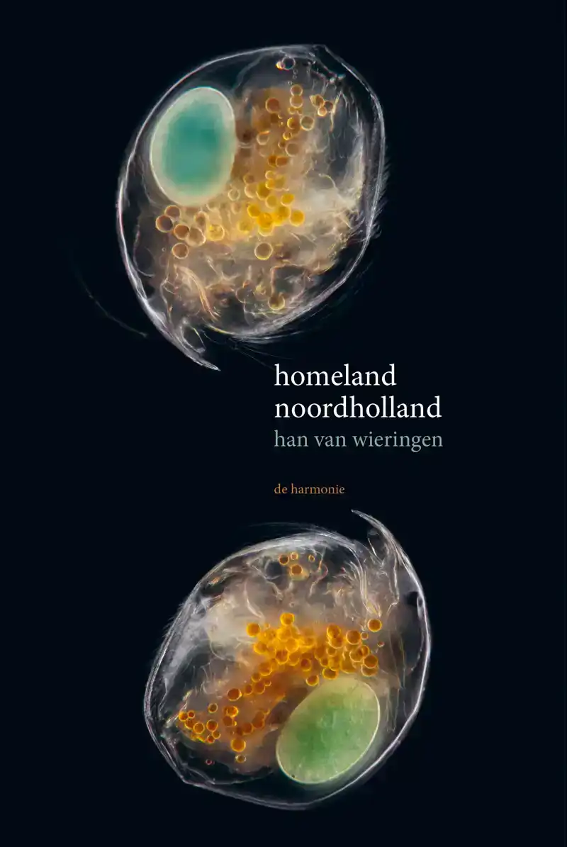 HOMELAND NOORDHOLLAND