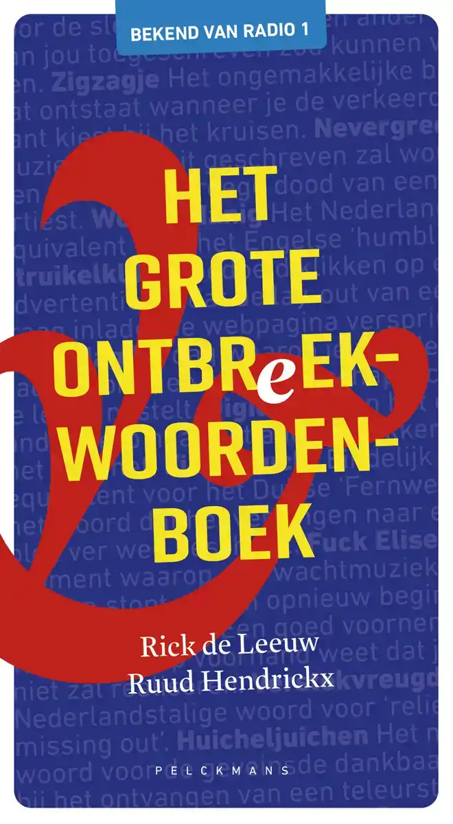 HET GROTE ONTBREEKWOORDENBOEK