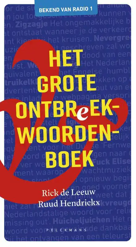 HET GROTE ONTBREEKWOORDENBOEK