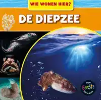 DE DIEPZEE