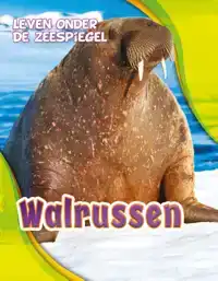 WALRUSSEN