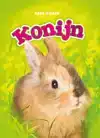KONIJN