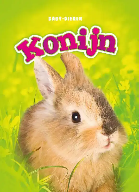 KONIJN