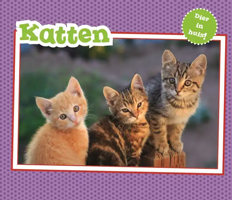 KATTEN